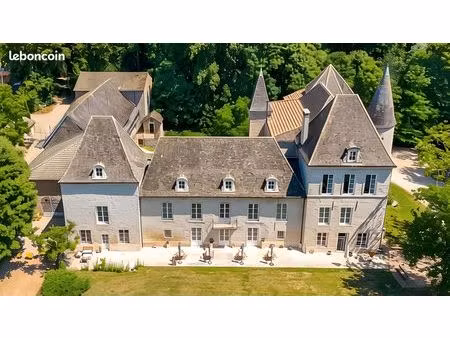 château 22 pièces 700 m²
