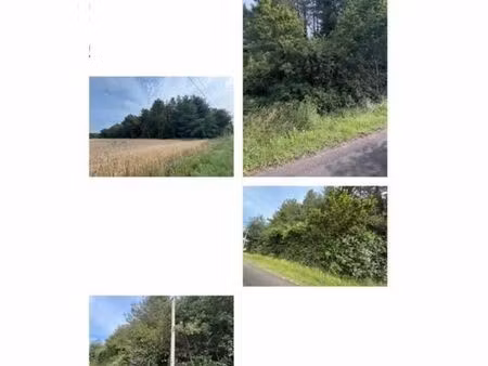 terrain boisée
