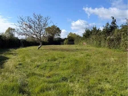 ? à vendre – terrain de loisir à souvigné-sur-même – 9500 ?