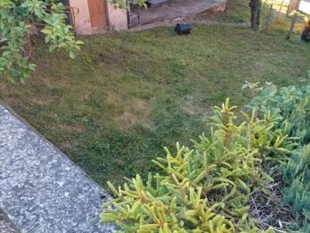 maison avec terrain