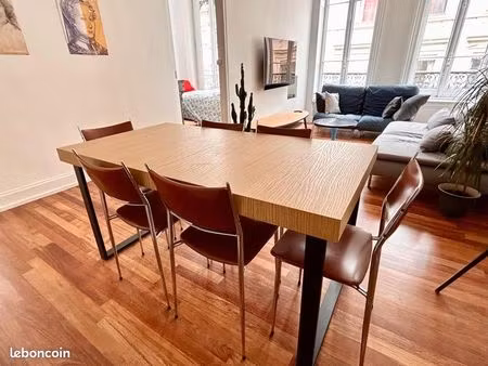 bel appartement 3 pièces meublé – presqu’île / cordeliers