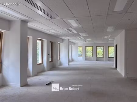 bureaux 323 m²