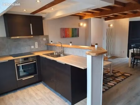 bel appartement ventre ville + mezzanine