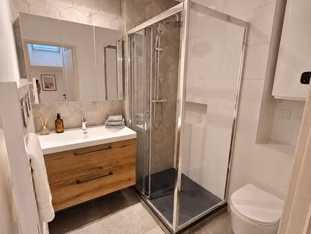 magnifique t1 meuble refait a neuf – calme et très lumineux