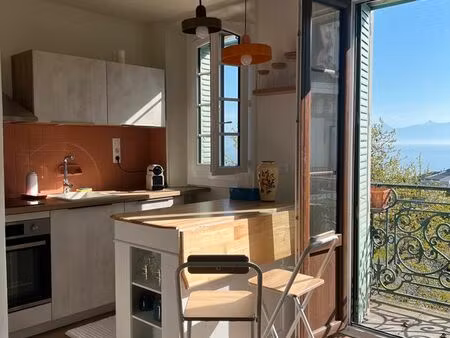 studio de charme – vue imprenable sur le lac léman – face à l'embarcadère