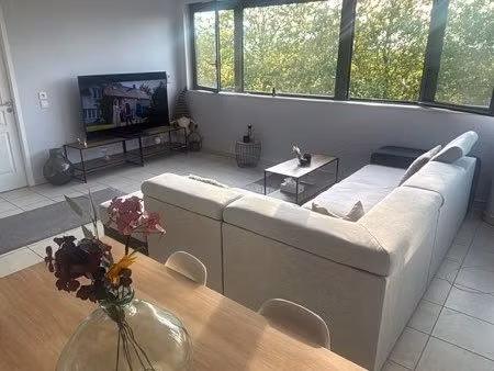 appartement t3 lumineux douane perly