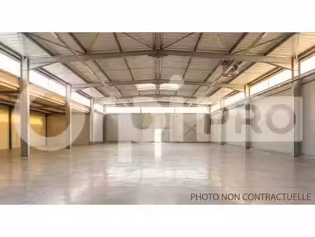 location entrepôt seignosse 40510 150m²