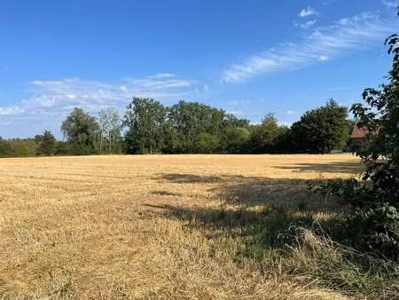terrain à vendre à boorsem € 101.128 (lqg9x) - vastgoed lumaro | zimmo