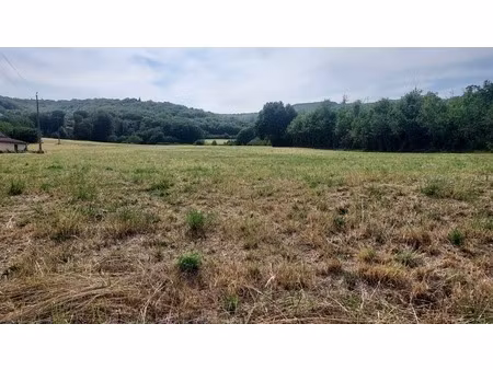 terrain à vendre de 1 800 00 m² lanzac (46)