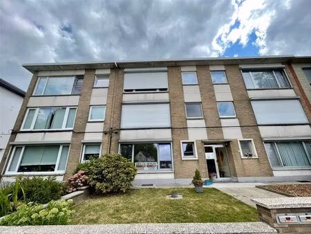appartement à louer à doornstraat 305 wilrijk (rbw51055)
