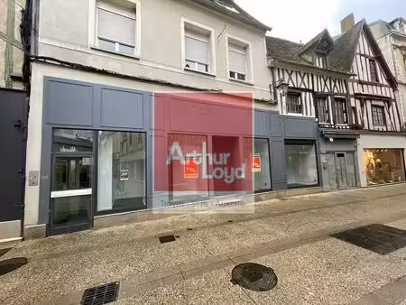 vente commerce sens 89100 290m²