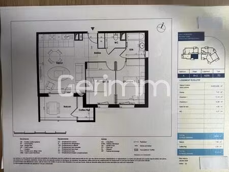 achat appartement 3 pièces 60m² st martin d heres 38400