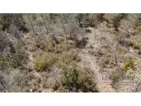 terrain naturel de 2516m² au coeur de la forêt – havre de pa
