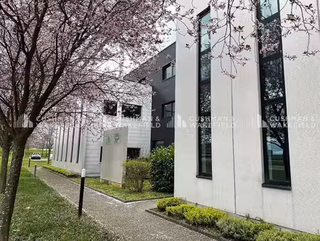 location bureaux entzheim 67960 86m² à 236m²