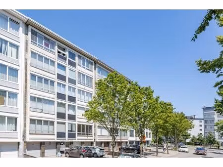 appartement te koop in borgerhout met 2 slaapkamers