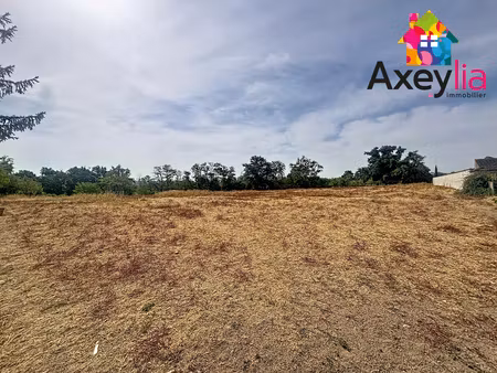 terrain