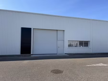 location local d’activités reyrieux 01600 272m² à 1308m²