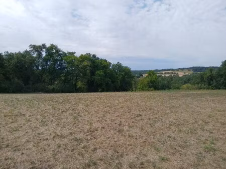 terrain à bâtir à saint-martin-de-ribérac (24600)