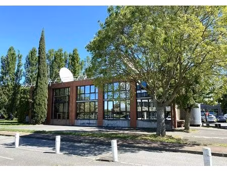 location local professionnel 837m² labege 31670