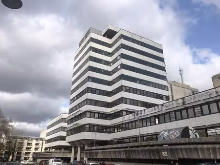 achat local professionnel 541m²