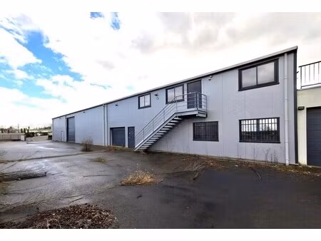 vente local d’activités fareins 01480 1460m²