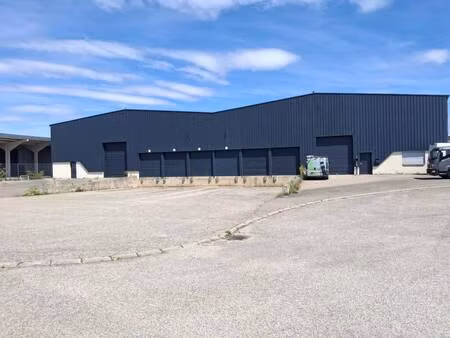 vente local d’activités meyzieu 69330 980m² à 1960m²