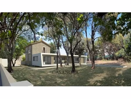 maison