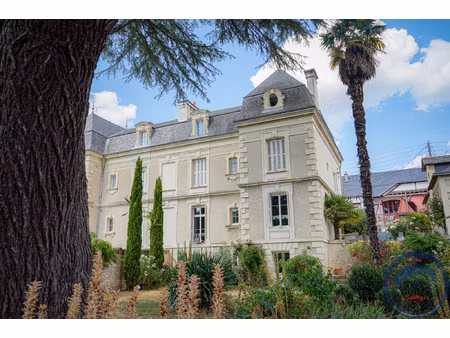 achat maison 8 pièces 196m² chinon 37500