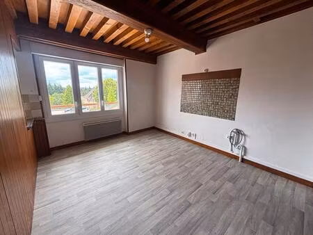à louer ? appartement t3 rénové à saint-laurent-d'andenay
