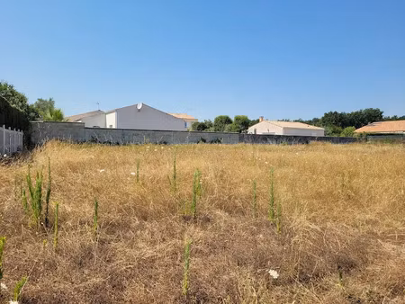 vente terrain 375 m² à vaux-sur-mer (17640)  155 000 €