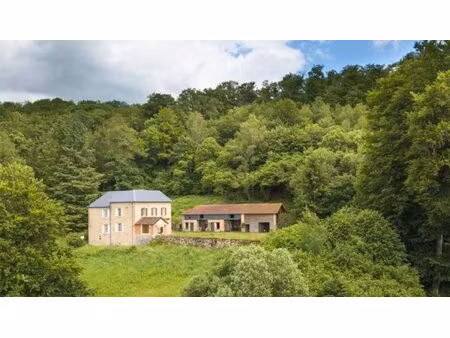 grande maison familiale xix ème en pleine nature - 6 ha +