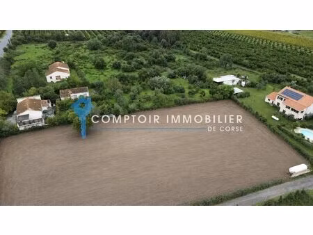 terrains constructibles à ghisonaccia