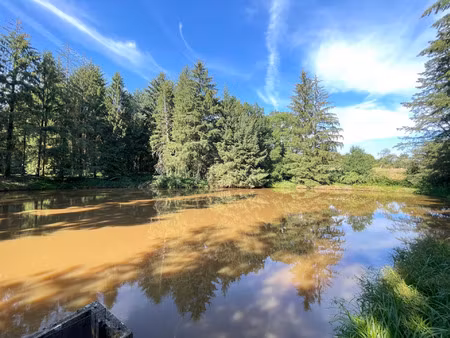 vente terrain 10109 m² loupfougères (53700)