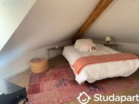 appartement 1 pièce 25 m²