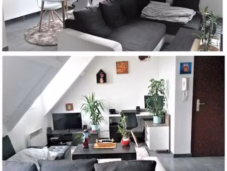appartement f2 46m2 +cave+pkg