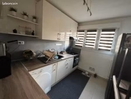 appartement 48m