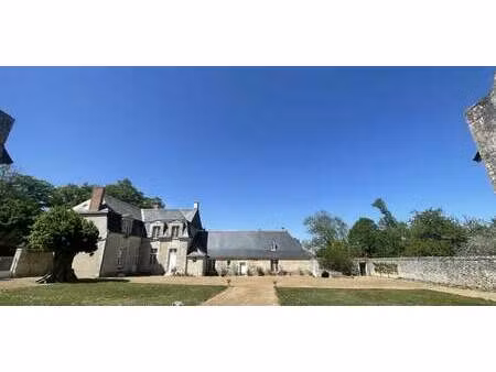 château neuvy-le-roi (37)