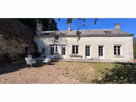 maison avec jardin et terrasse cheillé (37)