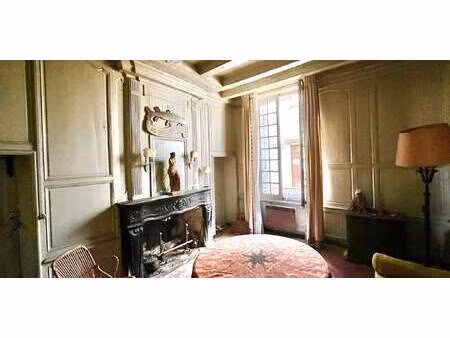 hôtel particulier avec jardin candes-saint-martin (37)