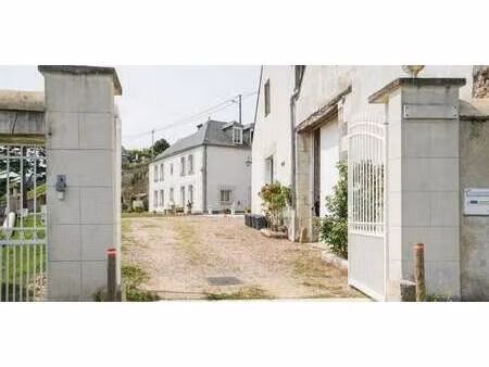 maison avec jardin tours (37)