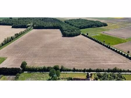terrain cussay (37)
