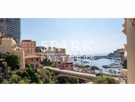 appartement monaco (98)