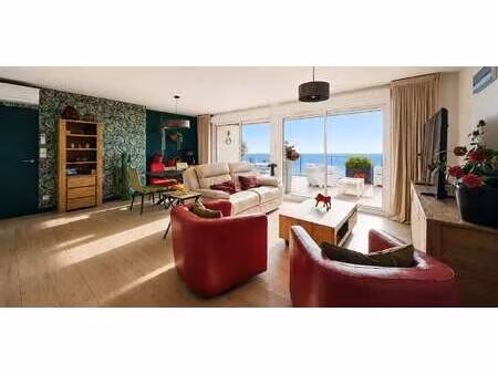 appartement avec terrasse et piscine sainte marie la mer (66)