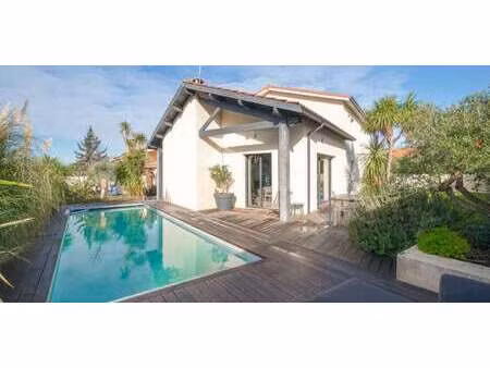 maison avec piscine et terrasse centre - balma (31)