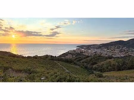 propriété banyuls-sur-mer (66)