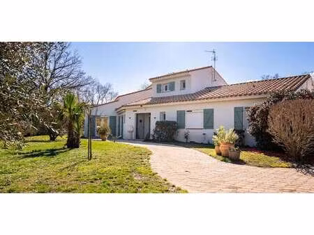 maison avec piscine et terrasse le boulou (66)