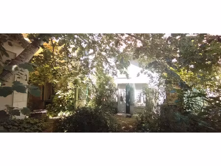 vente maison 5 pièces 84 m² à yzeures-sur-creuse (37290)  55 500 €