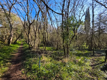 vente terrain 7010 m² à angles-sur-l'anglin (86260)  5 500 €