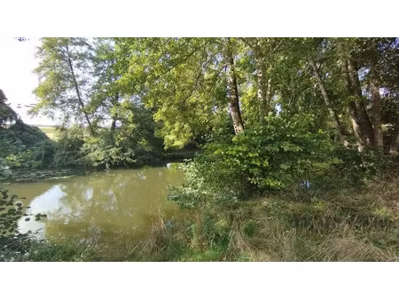vente terrain 2095 m² à boussay (37290)  18 000 €
