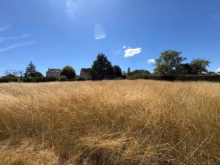 vente terrain 2032 m² à la roche-posay (86270)  39 000 €